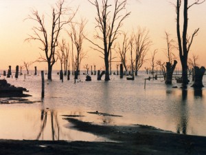 47_lacustre_Marchiquita.1989.w