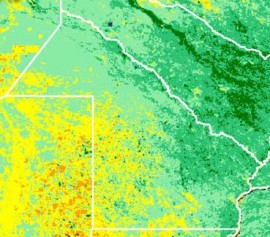 Mapa de la provincia del Chaco con colores según la cobertura vegetal