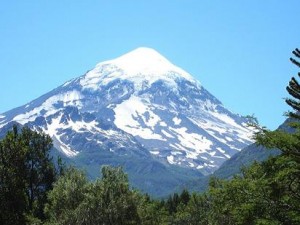 Volcán neuquino, con la cumbre cubierta de nieve, en un día despejado y visto entre los árboles