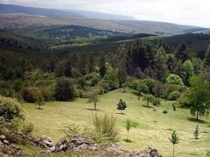 Climas y biomas de la provincia de Córdoba 01